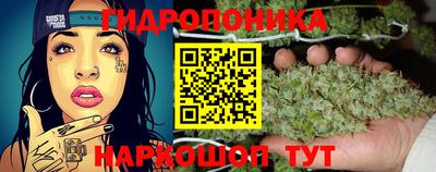 a pvp Кунгур