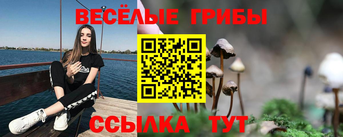 Галлюциногенные грибы Psilocybine cubensis Первоуральск